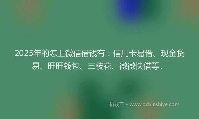 2025年的怎上微信借钱有：信用卡易借、现金贷易、旺旺钱包、三枝花、微微快借等。