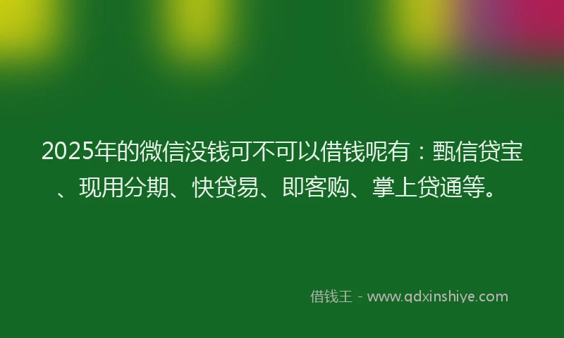 2025年的微信没钱可不可以借钱呢有：甄信贷宝、现用分期、快贷易、即客购、掌上贷通等。