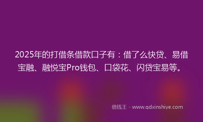 2025年的打借条借款口子有：借了么快贷、易借宝融、融悦宝Pro钱包、口袋花、闪贷宝易等。