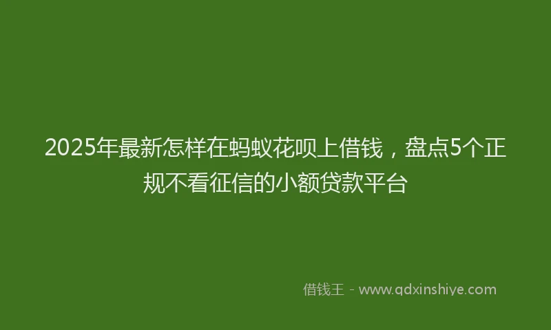 2025年最新怎样在蚂蚁花呗上借钱，盘点5个正规不看征信的小额贷款平台