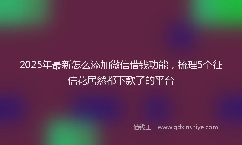 2025年最新怎么添加微信借钱功能，梳理5个征信花居然都下款了的平台