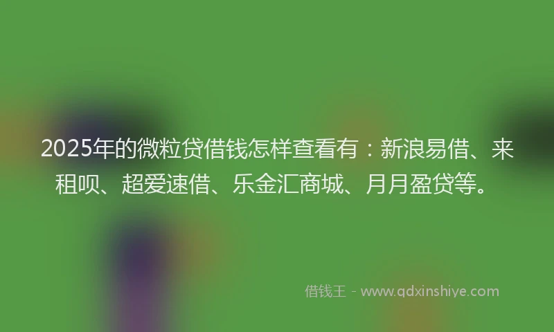 2025年的微粒贷借钱怎样查看有：新浪易借、来租呗、超爱速借、乐金汇商城、月月盈贷等。