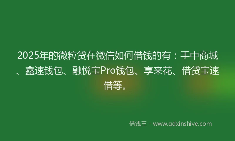 2025年的微粒贷在微信如何借钱的有：手中商城、鑫速钱包、融悦宝Pro钱包、享来花、借贷宝速借等。