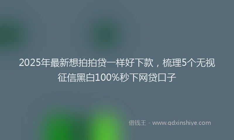 2025年最新想拍拍贷一样好下款，梳理5个无视征信黑白100%秒下网贷口子