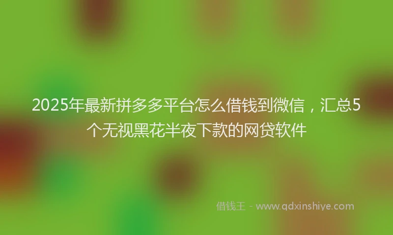 2025年最新拼多多平台怎么借钱到微信，汇总5个无视黑花半夜下款的网贷软件