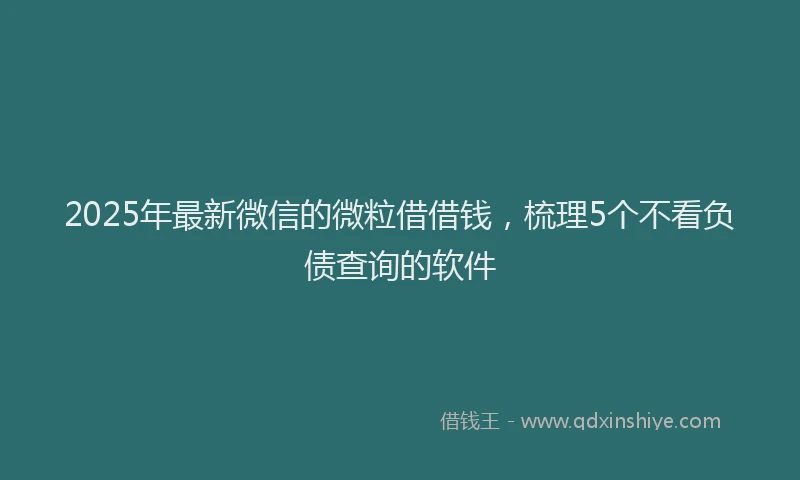 2025年最新微信的微粒借借钱，梳理5个不看负债查询的软件