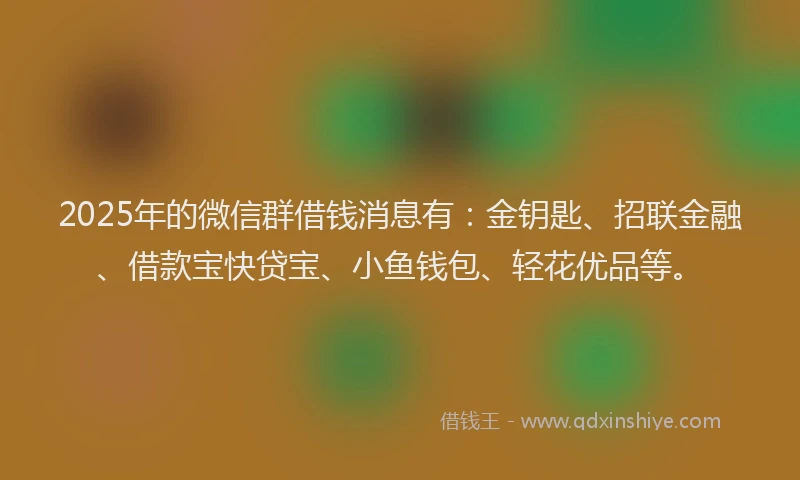 2025年的微信群借钱消息有：金钥匙、招联金融、借款宝快贷宝、小鱼钱包、轻花优品等。