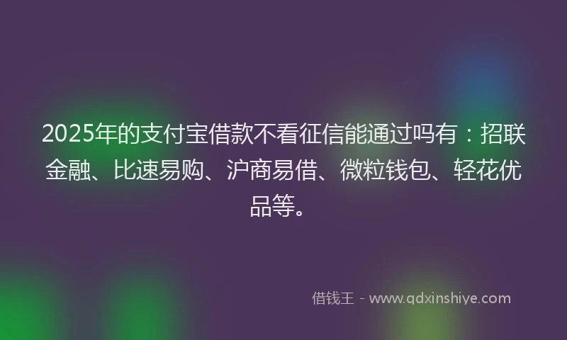 2025年的支付宝借款不看征信能通过吗有：招联金融、比速易购、沪商易借、微粒钱包、轻花优品等。