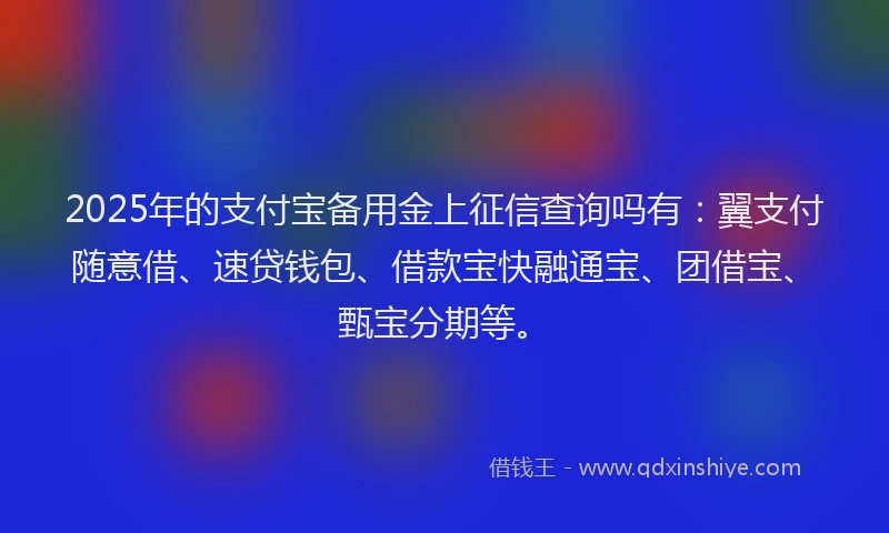 2025年的支付宝备用金上征信查询吗有：翼支付随意借、速贷钱包、借款宝快融通宝、团借宝、甄宝分期等。