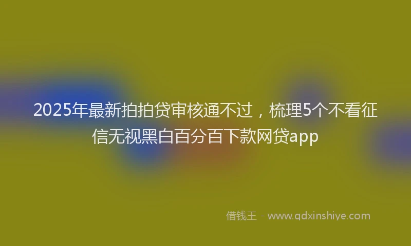 2025年最新拍拍贷审核通不过，梳理5个不看征信无视黑白百分百下款网贷app