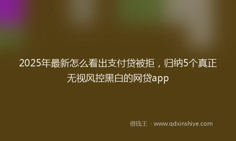2025年最新怎么看出支付贷被拒，归纳5个真正无视风控黑白的网贷app