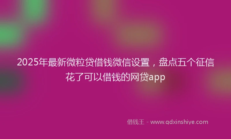 2025年最新微粒贷借钱微信设置，盘点五个征信花了可以借钱的网贷app