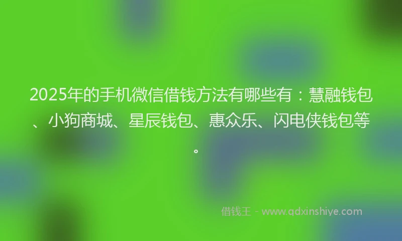 2025年的手机微信借钱方法有哪些有：慧融钱包、小狗商城、星辰钱包、惠众乐、闪电侠钱包等。