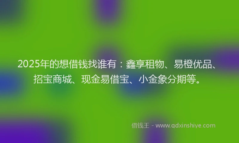 2025年的想借钱找谁有：鑫享租物、易橙优品、招宝商城、现金易借宝、小金象分期等。
