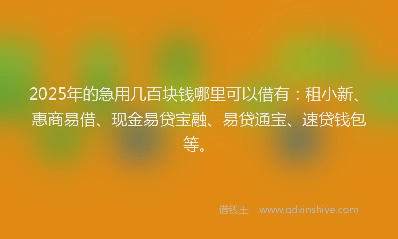 2025年的急用几百块钱哪里可以借有：租小新、惠商易借、现金易贷宝融、易贷通宝、速贷钱包等。