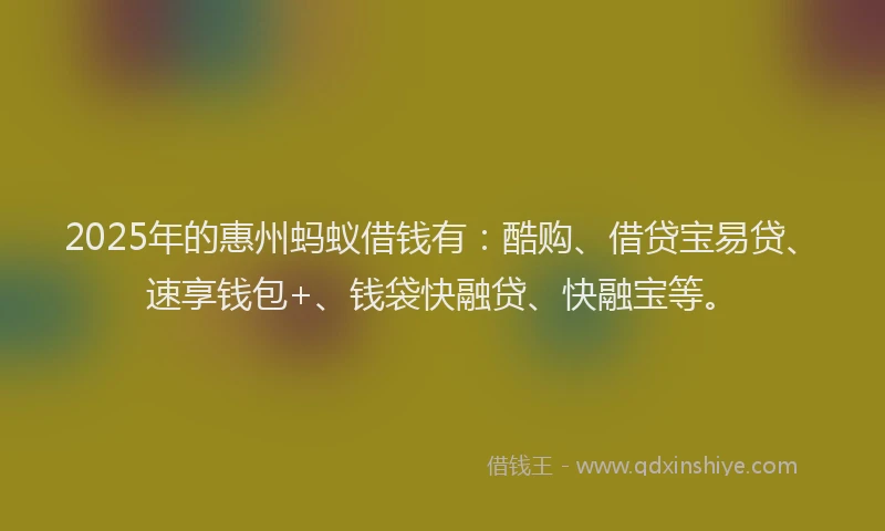 2025年的惠州蚂蚁借钱有：酷购、借贷宝易贷、速享钱包+、钱袋快融贷、快融宝等。
