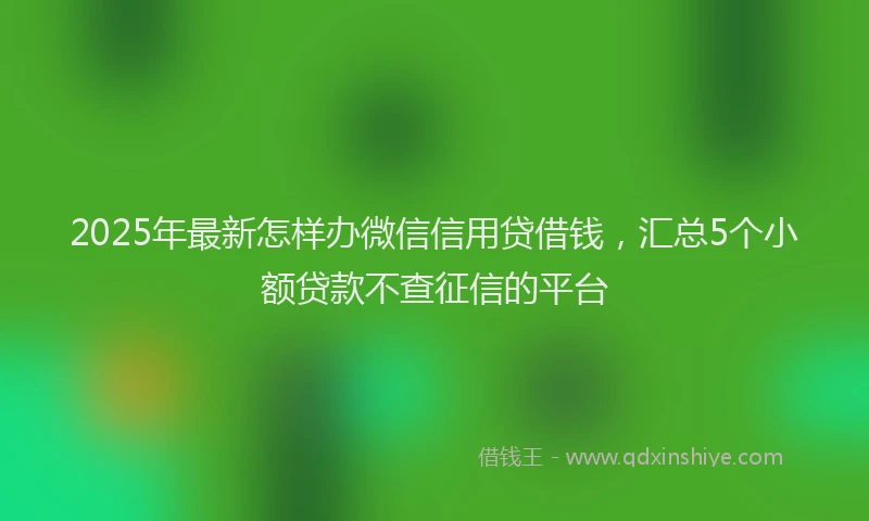 2025年最新怎样办微信信用贷借钱，汇总5个小额贷款不查征信的平台