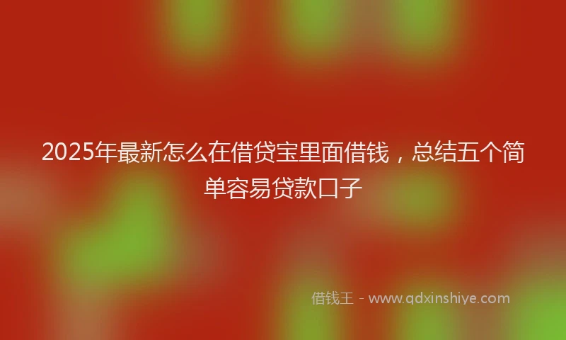 2025年最新怎么在借贷宝里面借钱，总结五个简单容易贷款口子