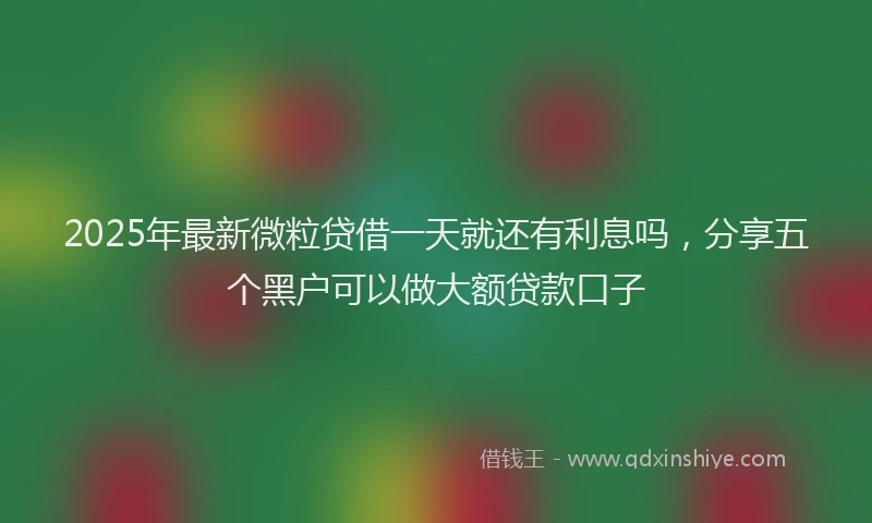 2025年最新微粒贷借一天就还有利息吗，分享五个黑户可以做大额贷款口子