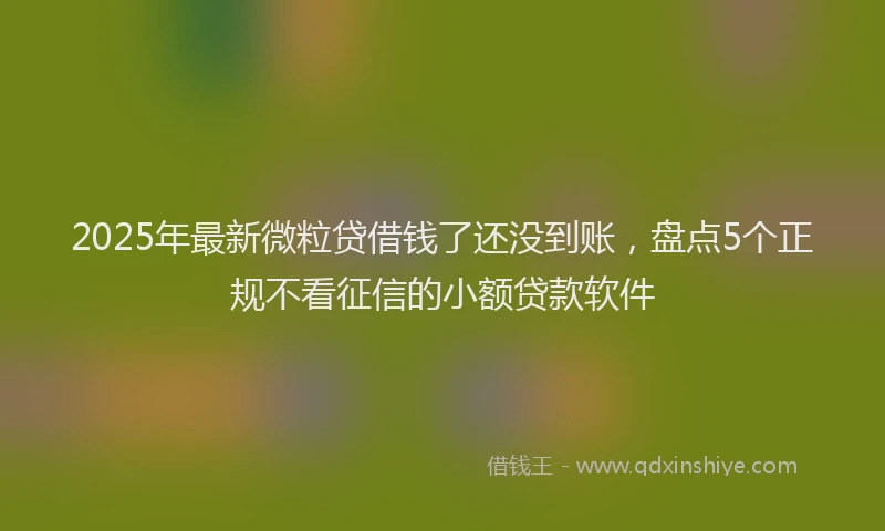 2025年最新微粒贷借钱了还没到账，盘点5个正规不看征信的小额贷款软件