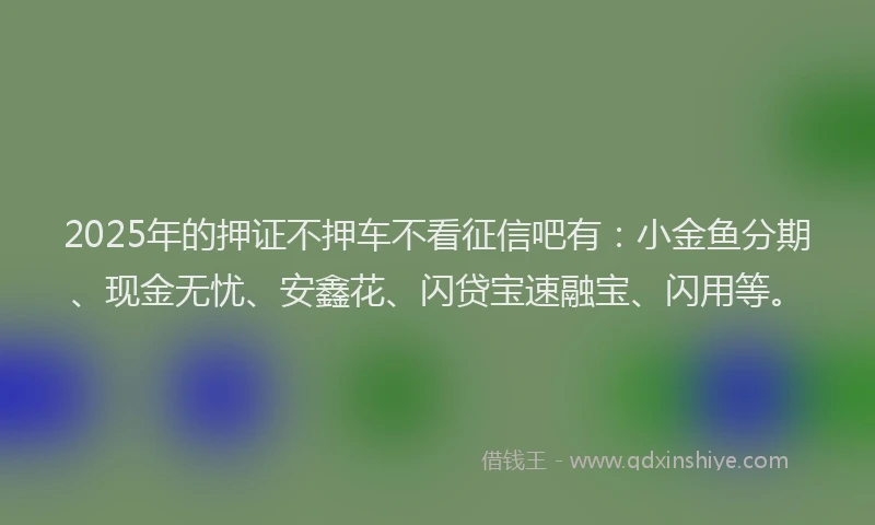 2025年的押证不押车不看征信吧有：小金鱼分期、现金无忧、安鑫花、闪贷宝速融宝、闪用等。