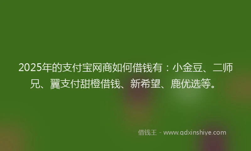 2025年的支付宝网商如何借钱有：小金豆、二师兄、翼支付甜橙借钱、新希望、鹿优选等。