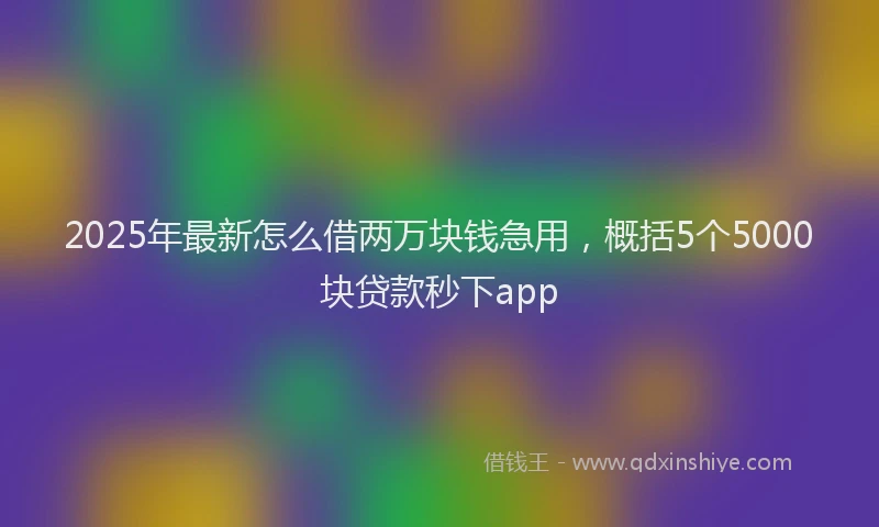 2025年最新怎么借两万块钱急用，概括5个5000块贷款秒下app
