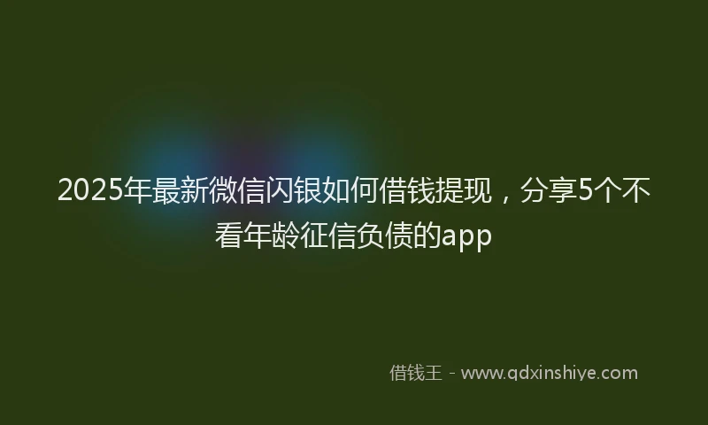 2025年最新微信闪银如何借钱提现，分享5个不看年龄征信负债的app