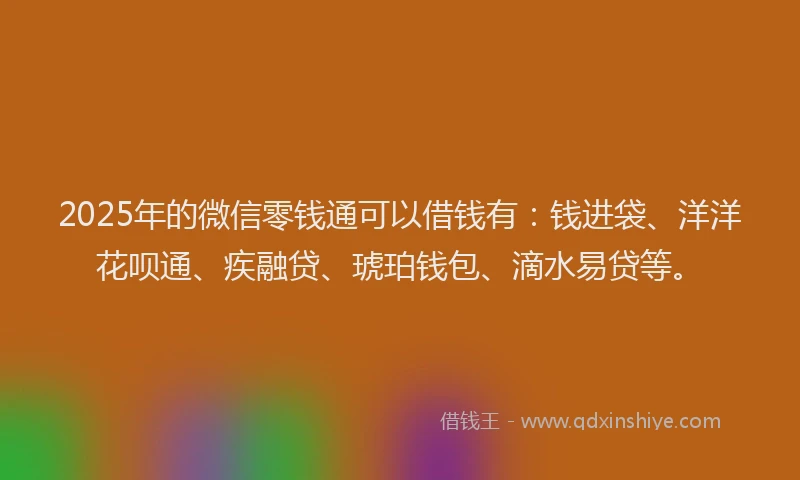 2025年的微信零钱通可以借钱有：钱进袋、洋洋花呗通、疾融贷、琥珀钱包、滴水易贷等。