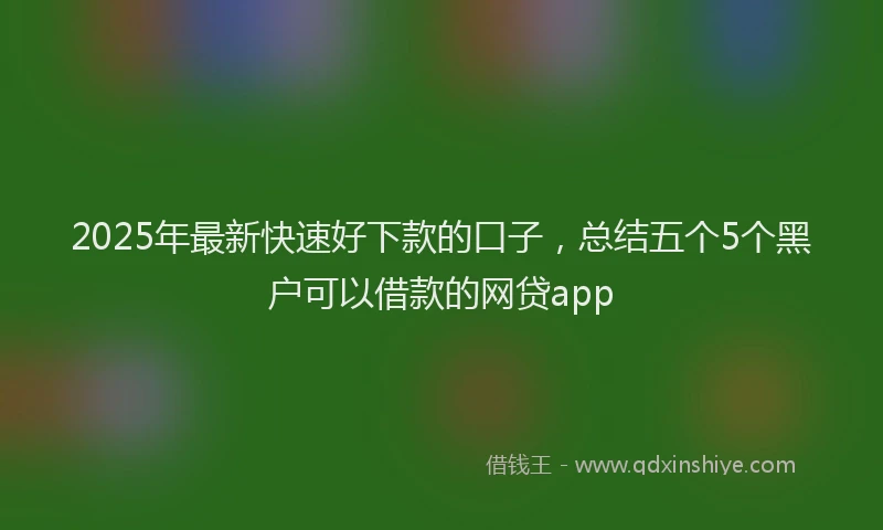 2025年最新快速好下款的口子，总结五个5个黑户可以借款的网贷app