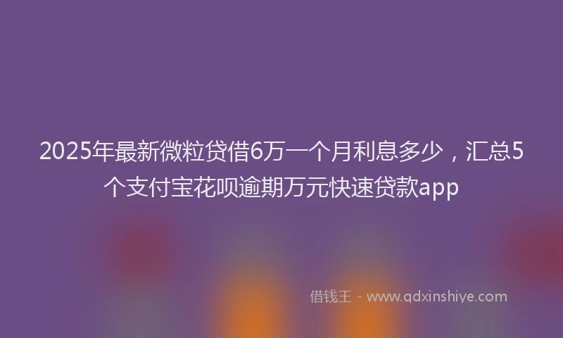 2025年最新微粒贷借6万一个月利息多少，汇总5个支付宝花呗逾期万元快速贷款app