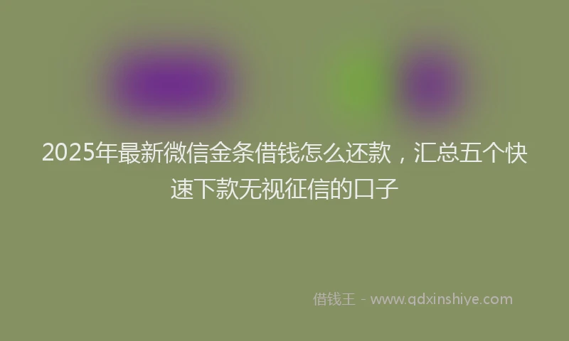 2025年最新微信金条借钱怎么还款，汇总五个快速下款无视征信的口子