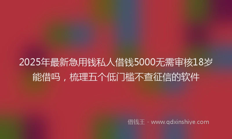 2025年最新急用钱私人借钱5000无需审核18岁能借吗，梳理五个低门槛不查征信的软件