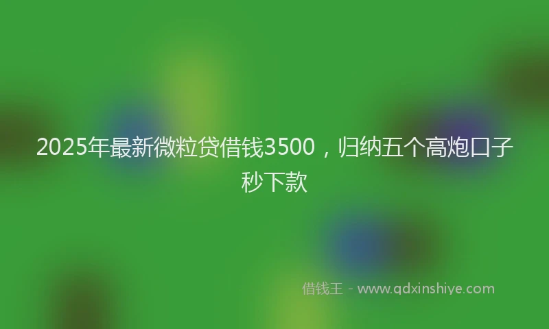2025年最新微粒贷借钱3500，归纳五个高炮口子秒下款
