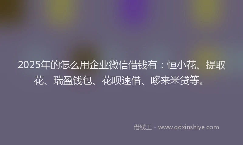 2025年的怎么用企业微信借钱有：恒小花、提取花、瑞盈钱包、花呗速借、哆来米贷等。