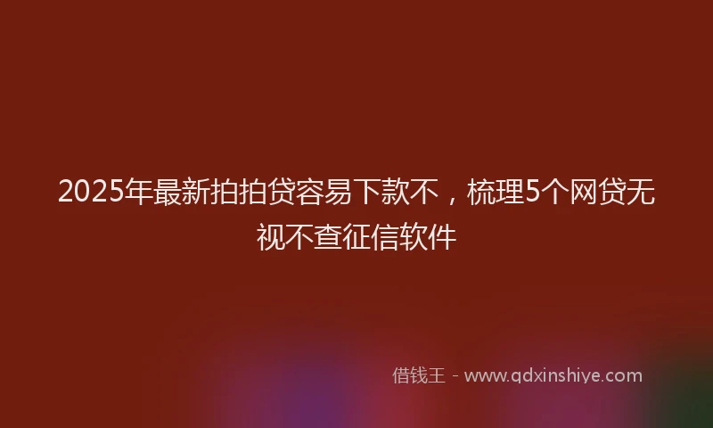 2025年最新拍拍贷容易下款不，梳理5个网贷无视不查征信软件