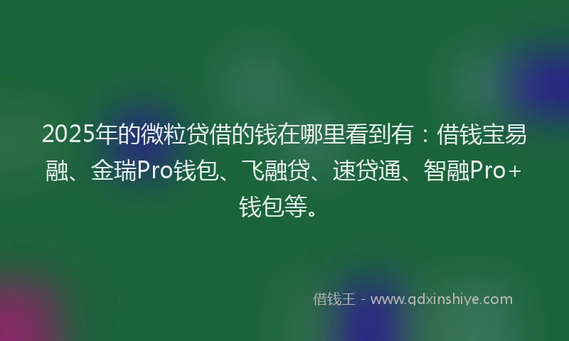 2025年的微粒贷借的钱在哪里看到有：借钱宝易融、金瑞Pro钱包、飞融贷、速贷通、智融Pro+钱包等。