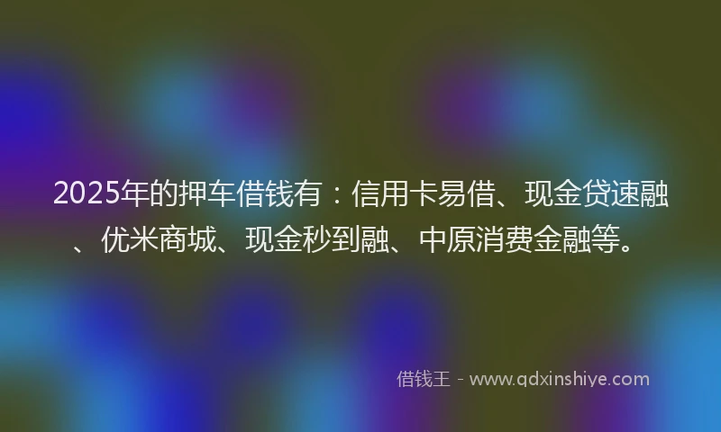 2025年的押车借钱有：信用卡易借、现金贷速融、优米商城、现金秒到融、中原消费金融等。