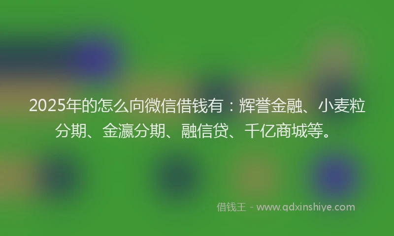 2025年的怎么向微信借钱有：辉誉金融、小麦粒分期、金瀛分期、融信贷、千亿商城等。