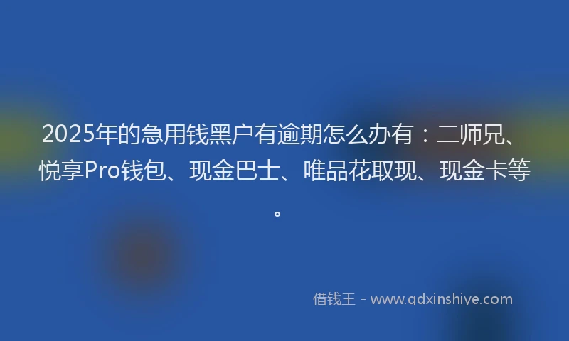 2025年的急用钱黑户有逾期怎么办有：二师兄、悦享Pro钱包、现金巴士、唯品花取现、现金卡等。