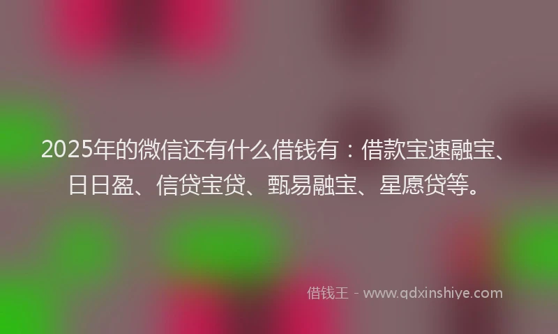 2025年的微信还有什么借钱有：借款宝速融宝、日日盈、信贷宝贷、甄易融宝、星愿贷等。
