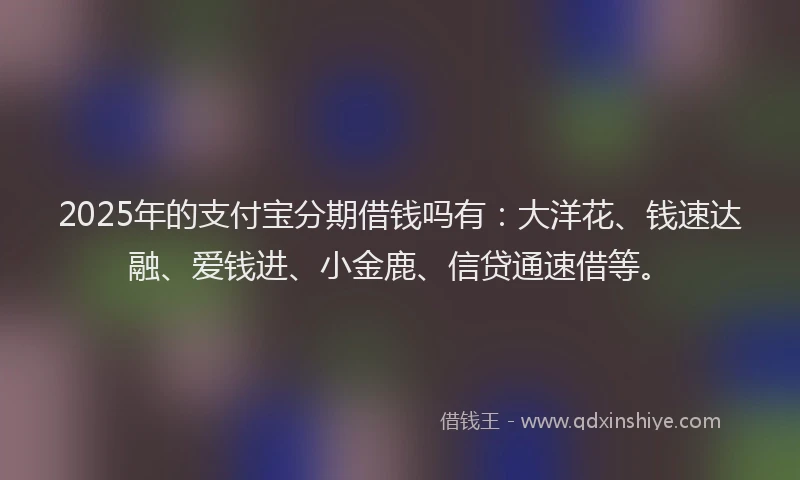 2025年的支付宝分期借钱吗有：大洋花、钱速达融、爱钱进、小金鹿、信贷通速借等。