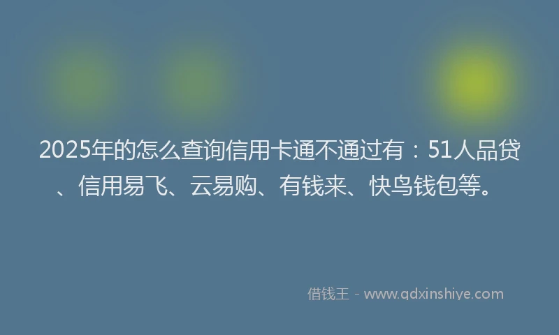2025年的怎么查询信用卡通不通过有：51人品贷、信用易飞、云易购、有钱来、快鸟钱包等。