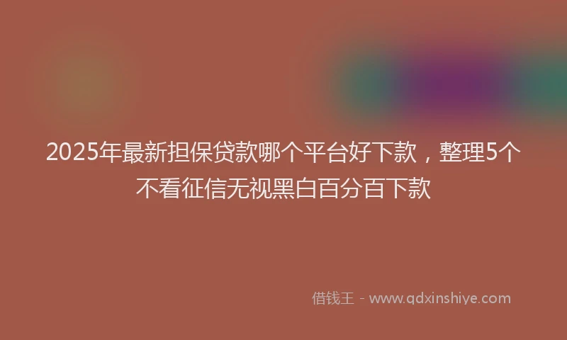 2025年最新担保贷款哪个平台好下款，整理5个不看征信无视黑白百分百下款