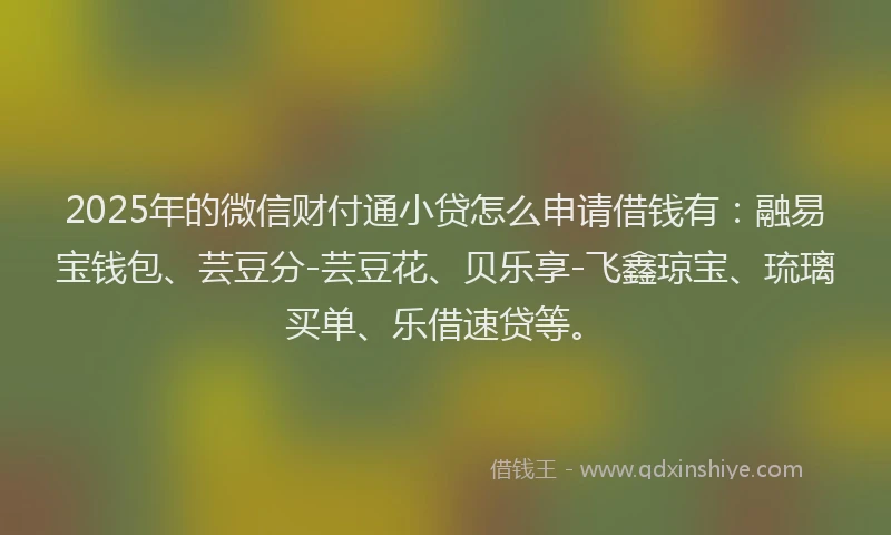 2025年的微信财付通小贷怎么申请借钱有：融易宝钱包、芸豆分-芸豆花、贝乐享-飞鑫琼宝、琉璃买单、乐借速贷等。
