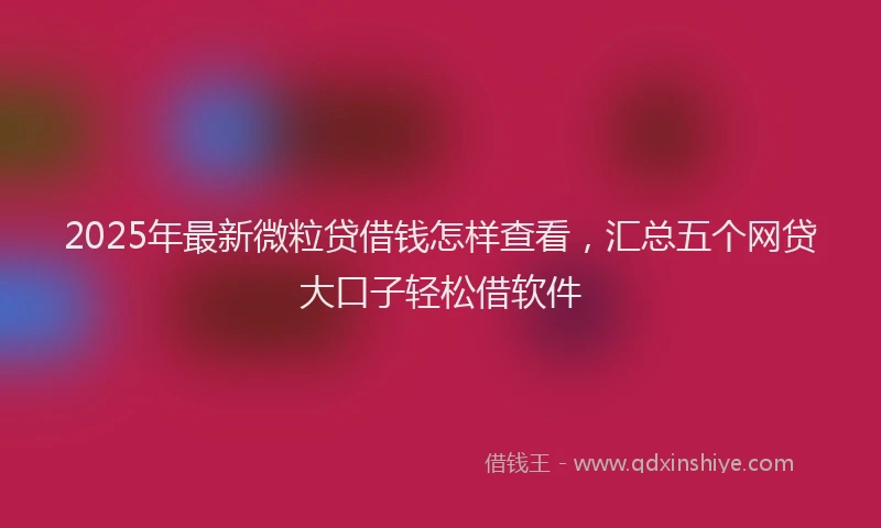 2025年最新微粒贷借钱怎样查看，汇总五个网贷大口子轻松借软件