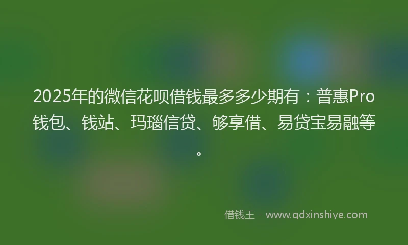 2025年的微信花呗借钱最多多少期有：普惠Pro钱包、钱站、玛瑙信贷、够享借、易贷宝易融等。