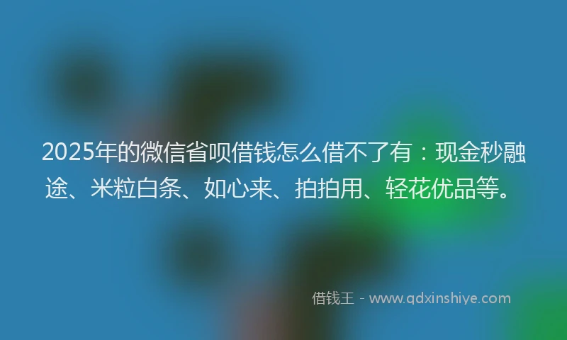 2025年的微信省呗借钱怎么借不了有：现金秒融途、米粒白条、如心来、拍拍用、轻花优品等。
