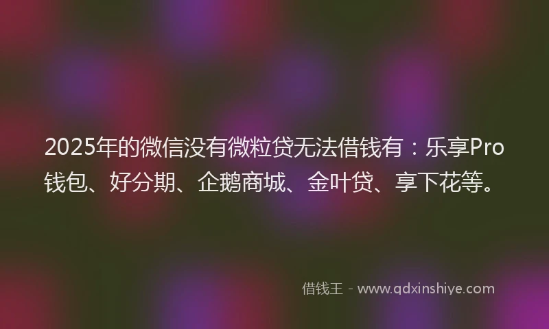 2025年的微信没有微粒贷无法借钱有：乐享Pro钱包、好分期、企鹅商城、金叶贷、享下花等。
