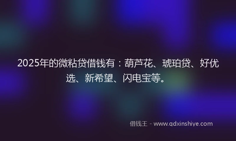 2025年的微粘贷借钱有：葫芦花、琥珀贷、好优选、新希望、闪电宝等。